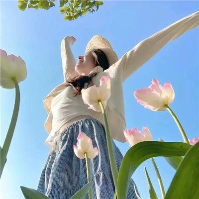 威龙杀阵